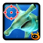 Logo of Kill Hammerhead Shark android Application 